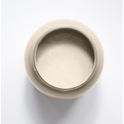 Ishtar Peinture Color'Instant