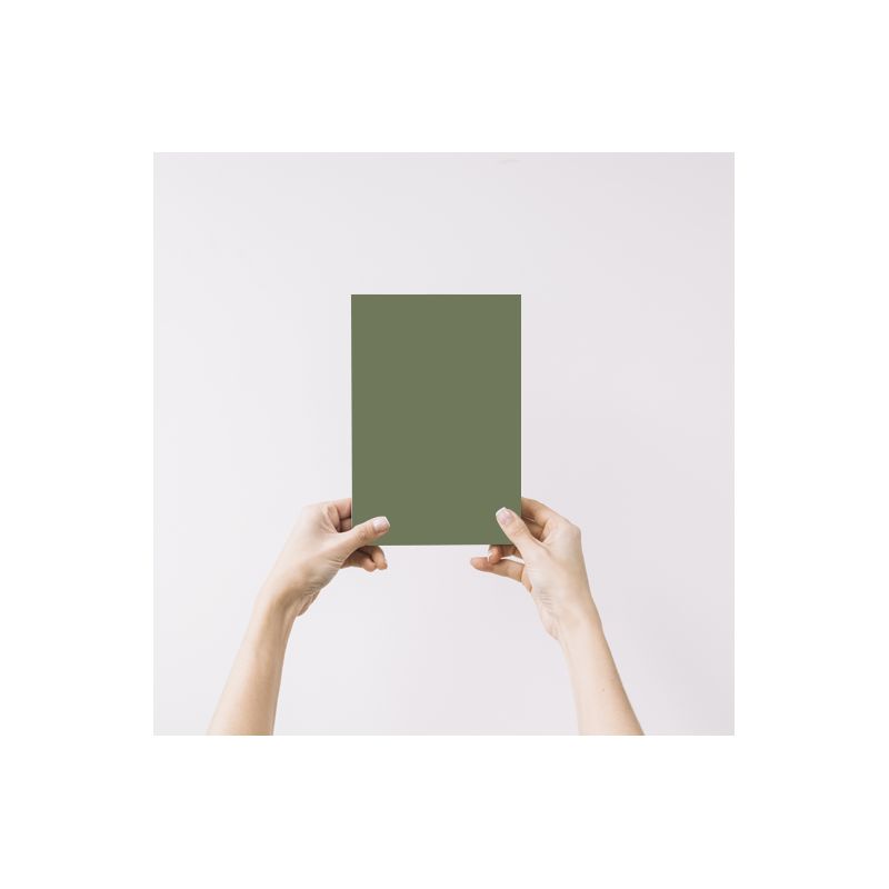 Orchidée Echantillon Peinture Intérieure