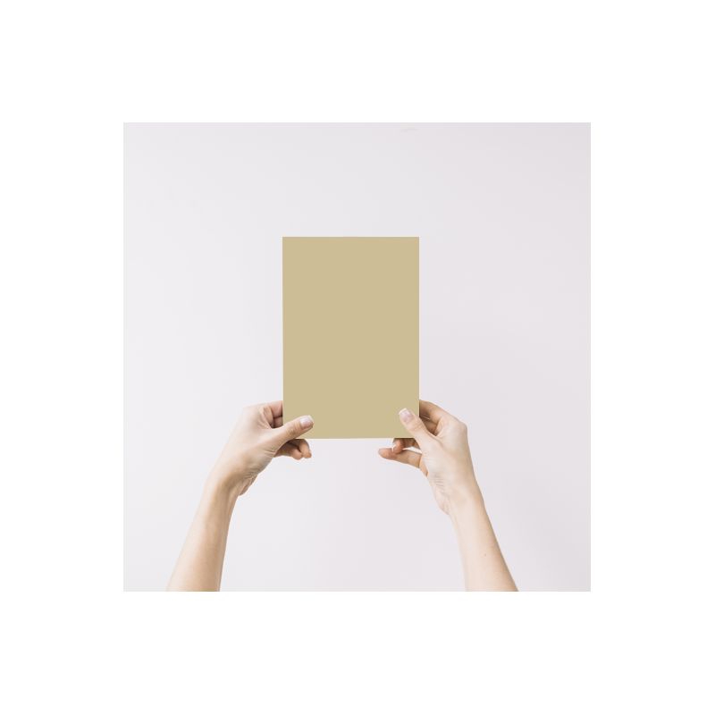 Rose des sables Echantillon Peinture Intérieure