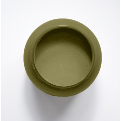 Olivine Peinture Color'Instant