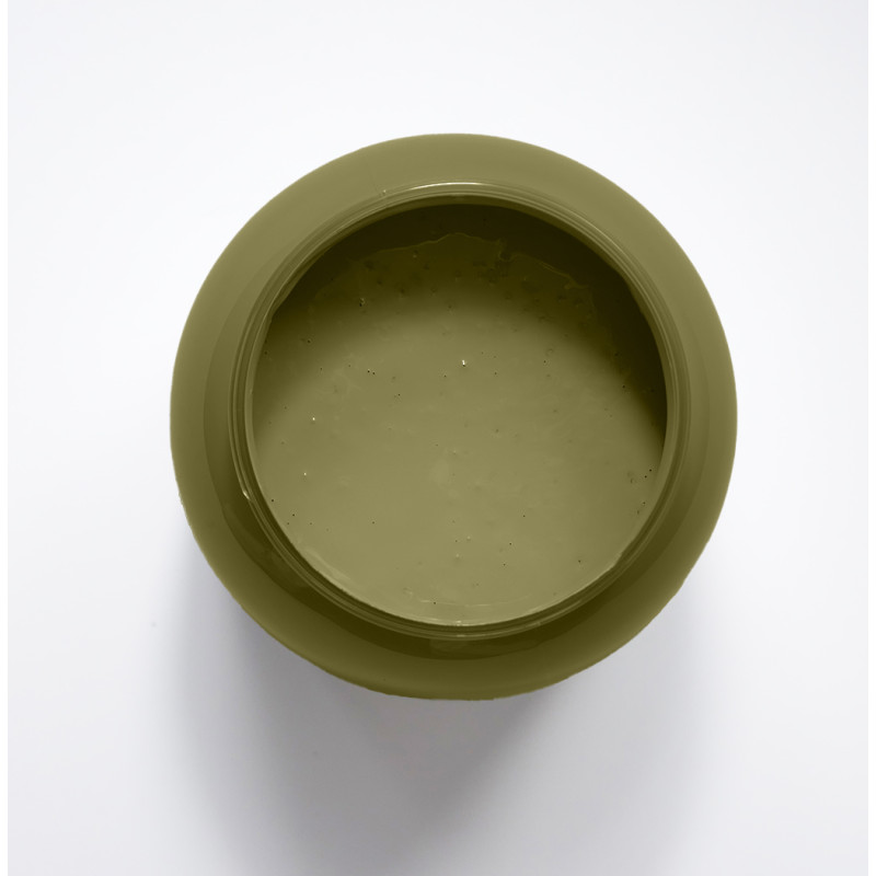 Olivine Peinture Color'Instant