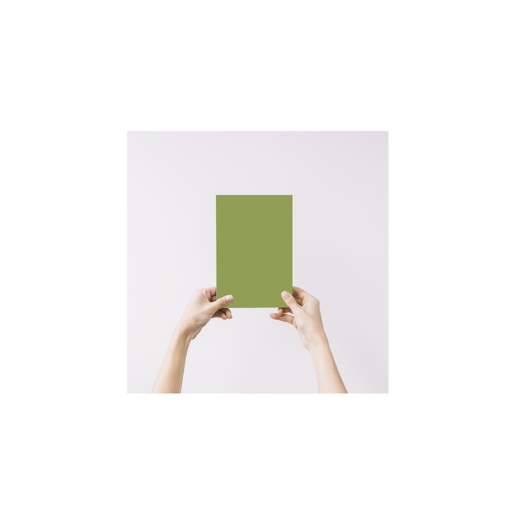 Marguerite Echantillon Peinture Intérieure