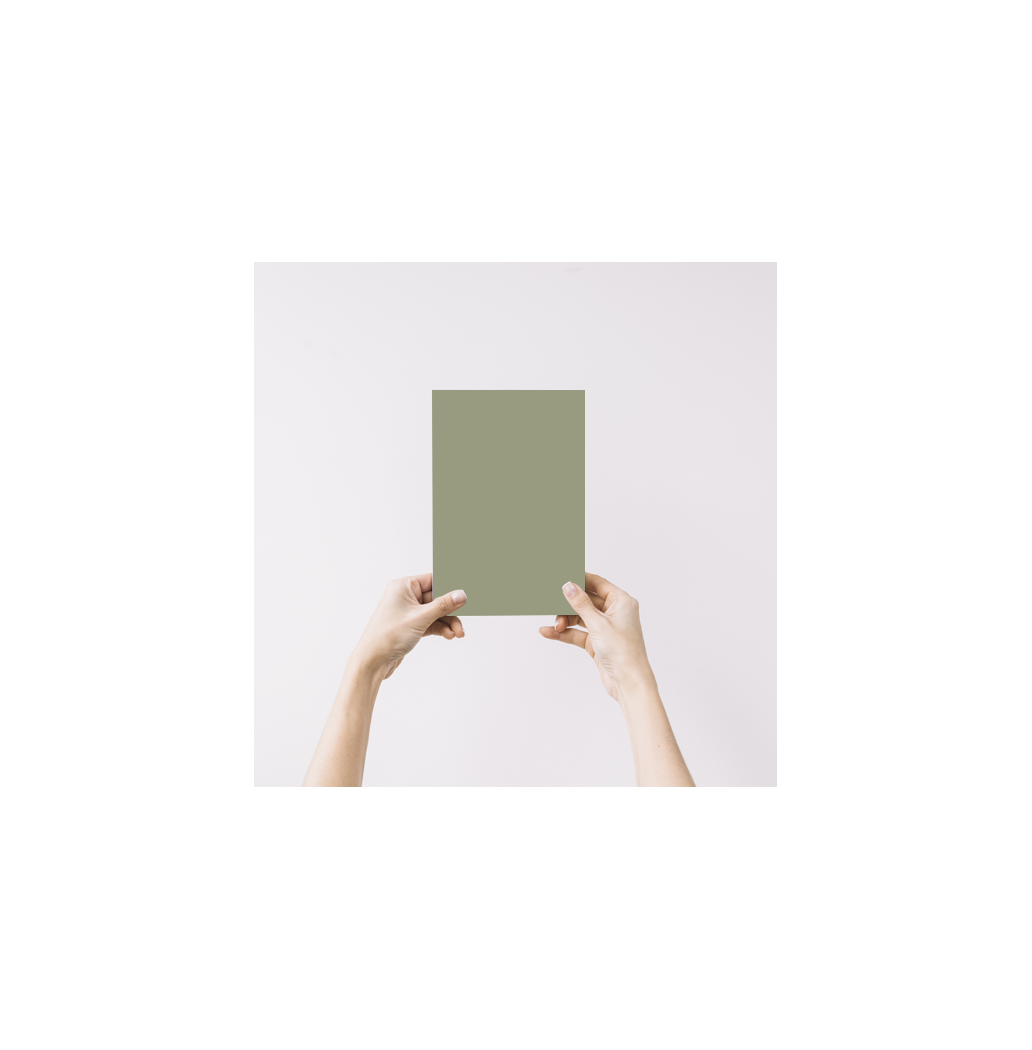 Ancolie Echantillon Peinture Intérieure