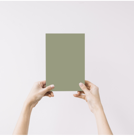 Ancolie Echantillon Peinture Intérieure