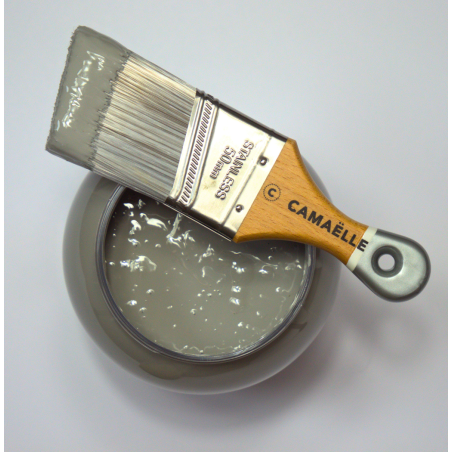 Brosse deco biseautee 5 cm