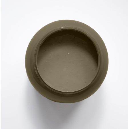 George Peinture Color'Instant