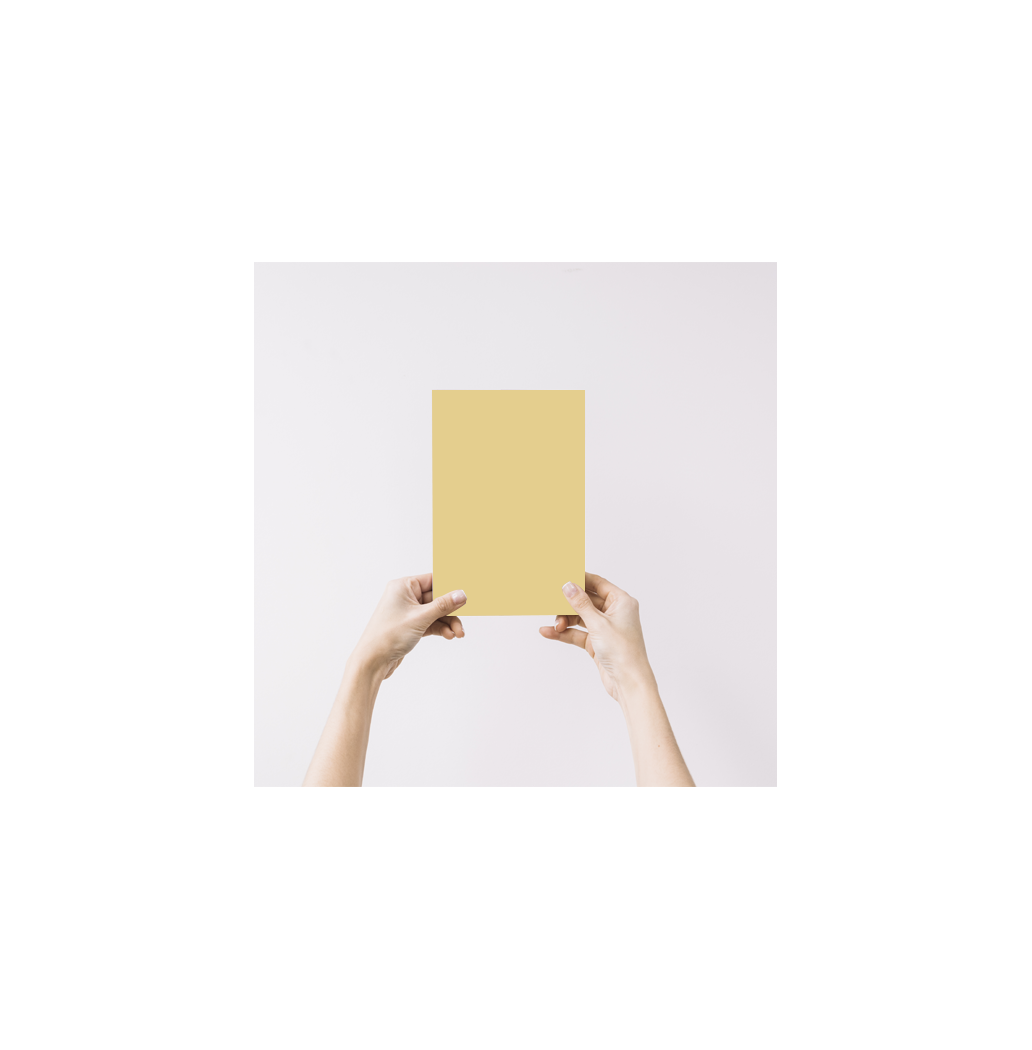 Brocéliande Echantillon Peinture Intérieure