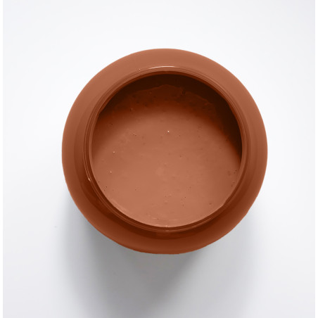 Tandoori Peinture Color'Instant