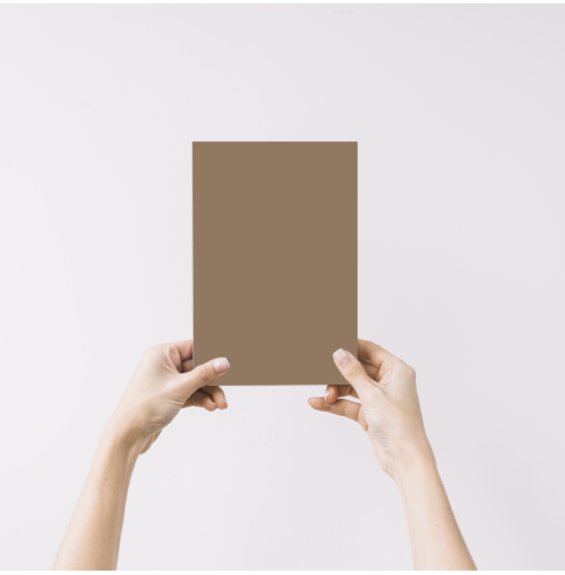 Jasper Echantillon Peinture Intérieure