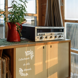 Pochoir Couronne d'Olivier