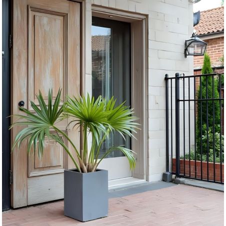 Beton Peinture Color'Plein Air