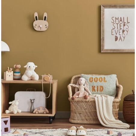 Vizzavona Peinture Intérieure