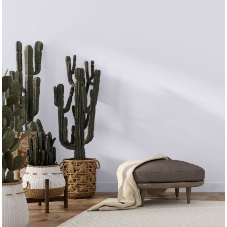 Vibrato Peinture Intérieure