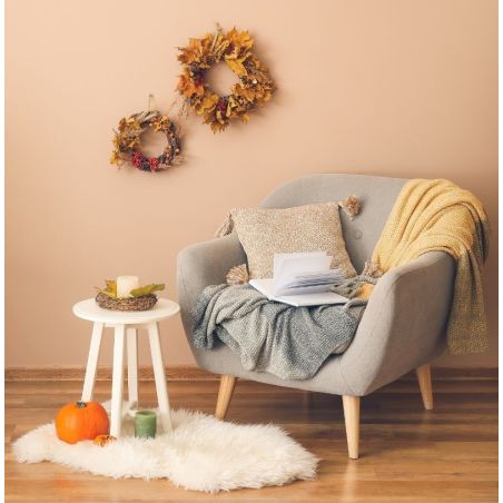 Saponaire Peinture Intérieure