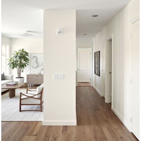 Sakura Peinture Intérieure