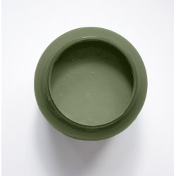 Orchidee Peinture Color'Instant