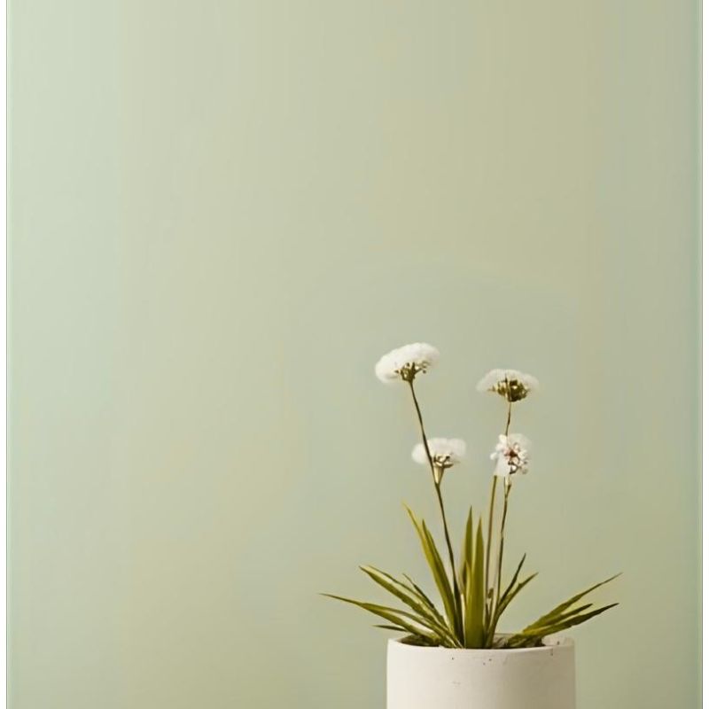 Armoise Peinture Intérieure