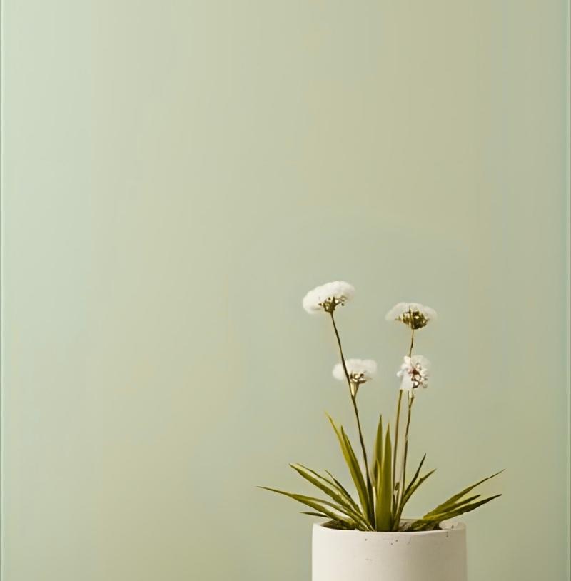 Armoise Peinture Intérieure