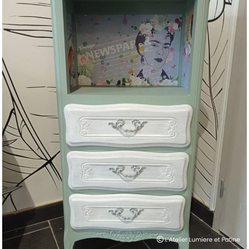 Armoise Peinture Color'Instant