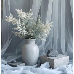 Baltique Peinture Color'Instant