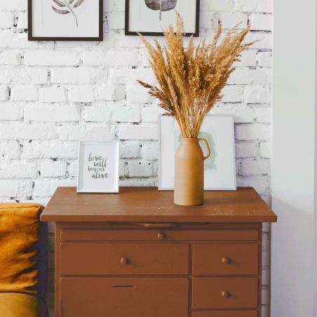 Fauve Peinture Color'Instant