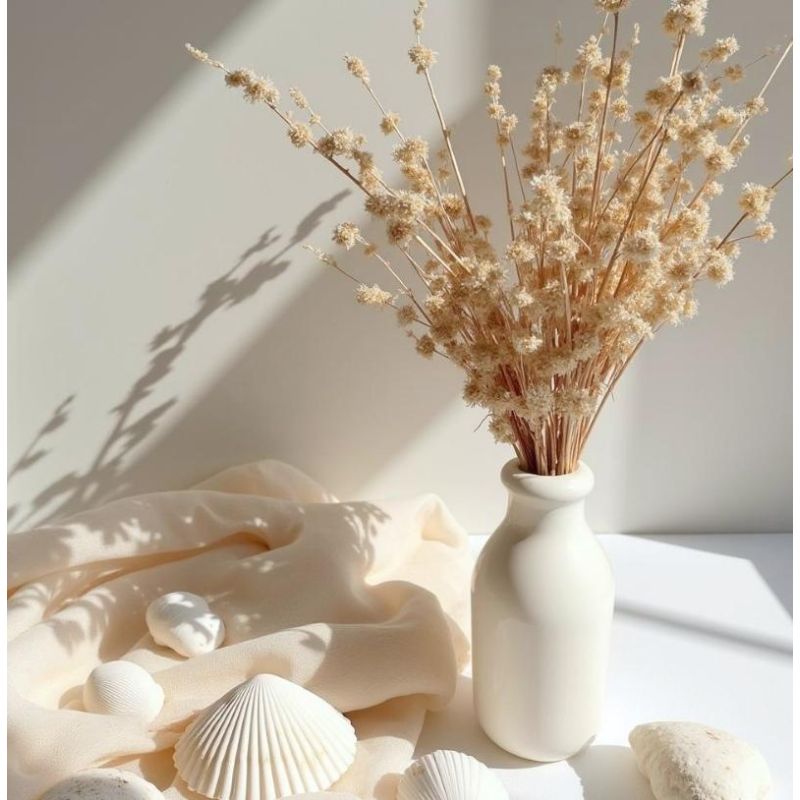 Albatre Peinture Color'Instant