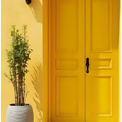 Ambre Peinture Color'Plein Air