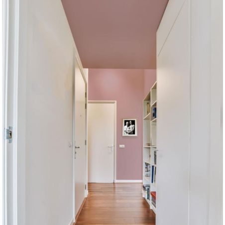 Ronsard Peinture Intérieure