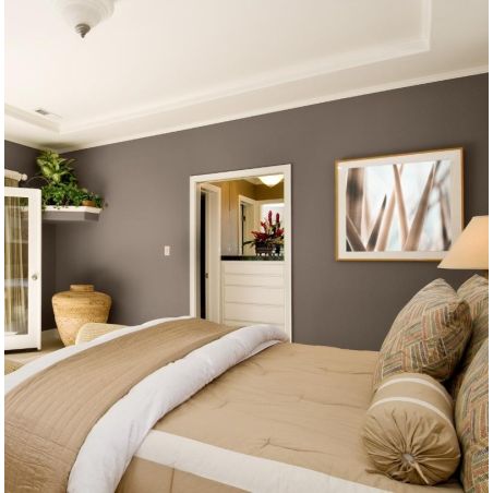 Persan Peinture Intérieure