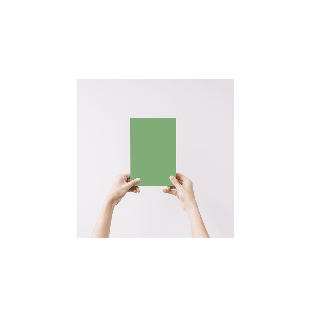 Matcha Echantillon Peinture Intérieure