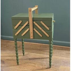 Orchidee Peinture Color'Instant