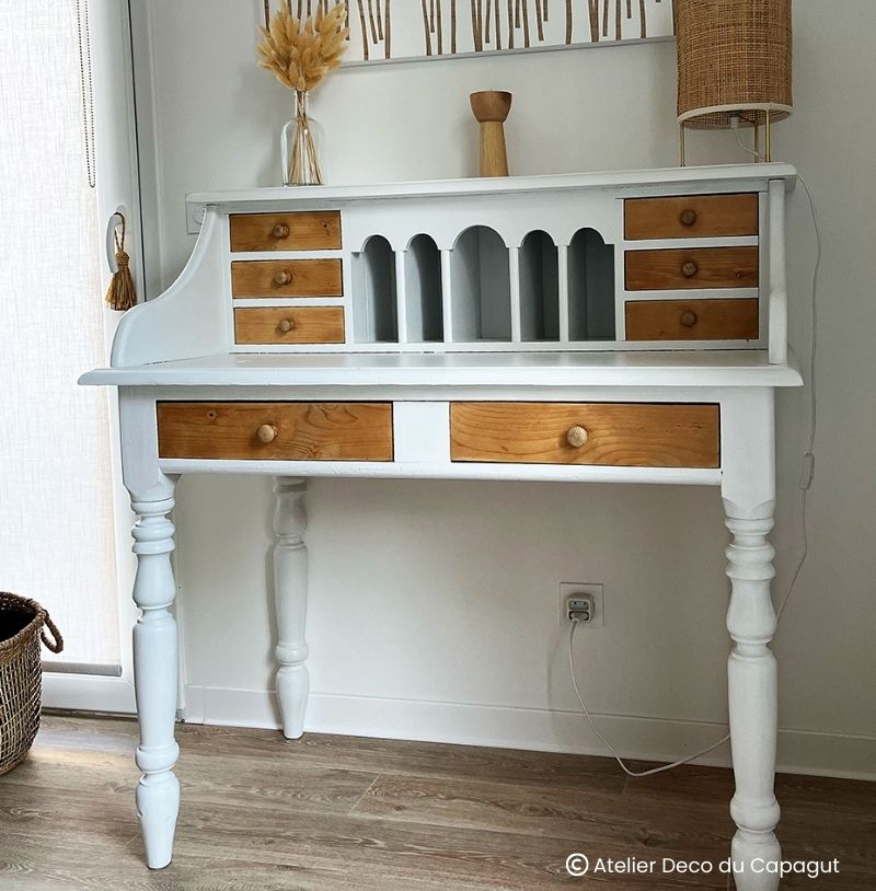 Coton Peinture Color'Instant