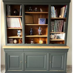 Dypsis Peinture Color'Instant