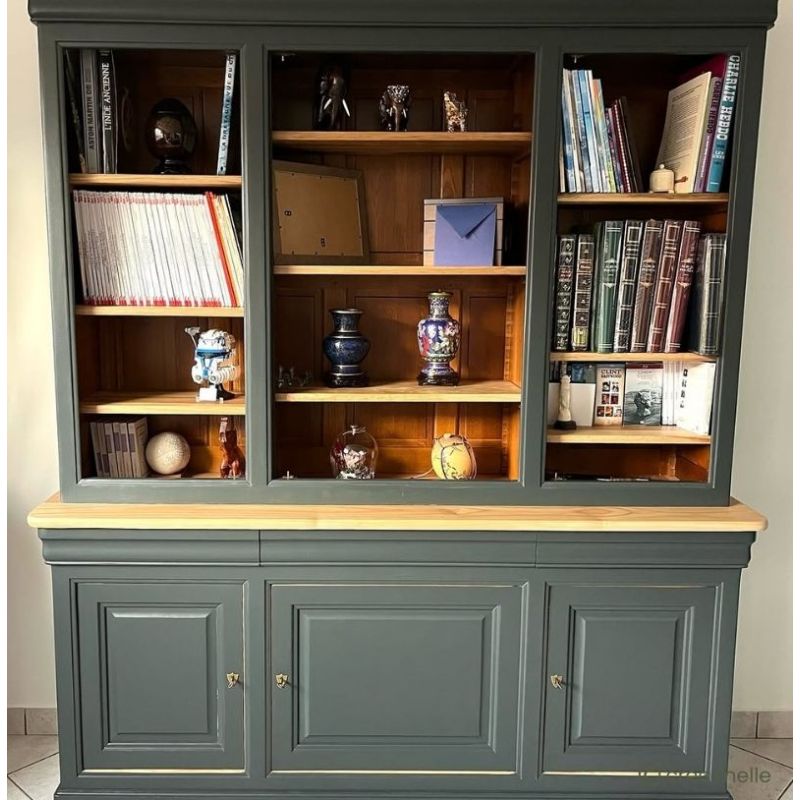 Dypsis Peinture Color'Instant