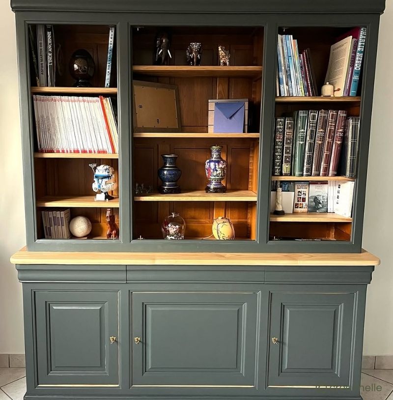 Dypsis Peinture Color'Instant