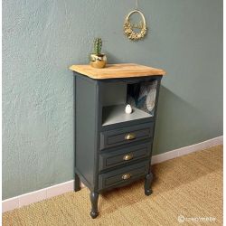 Dypsis Peinture Color'Instant