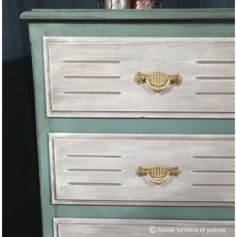 Euphorbe Peinture Color'Instant