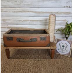 Faune Peinture Color'Instant