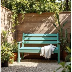 Cactus Peinture Color'Plein Air