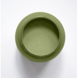 Feuille de Vigne Peinture Color'Sol