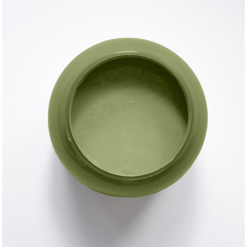 Feuille de Vigne Peinture Color'Sol