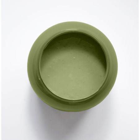 Feuille de Vigne Peinture Color'Sol