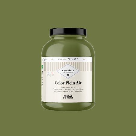 Feuille de Vigne Peinture Color'Plein Air 2L