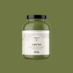 Feuille de Vigne Peinture Color'Sol 2L