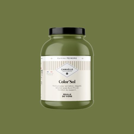 Feuille de Vigne Peinture Color'Sol 2L