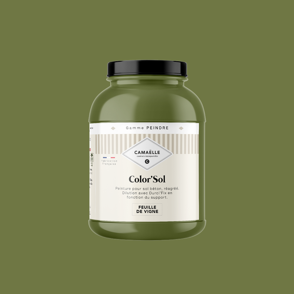 Feuille de Vigne Peinture Color'Sol 2L