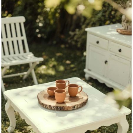 Bourgeon Peinture Color'Plein Air