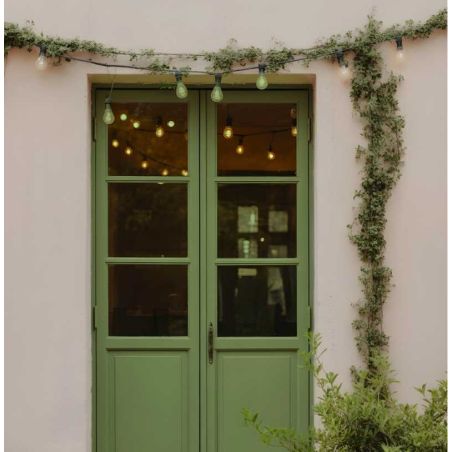 Feuille de Vigne Peinture Color'Plein Air