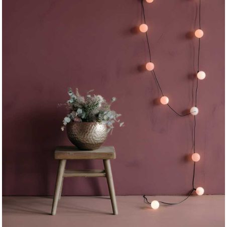 Raisin Peinture Intérieure