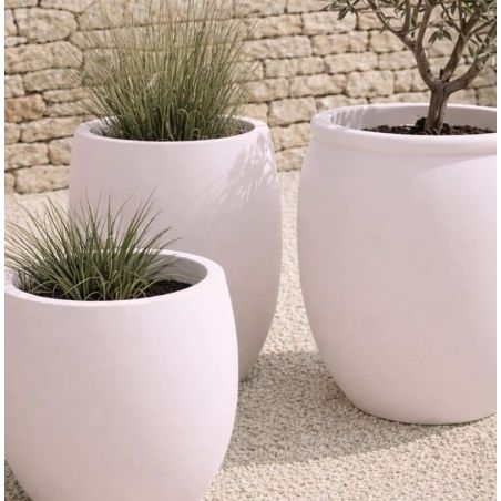 Hellebore Peinture Color'Plein Air